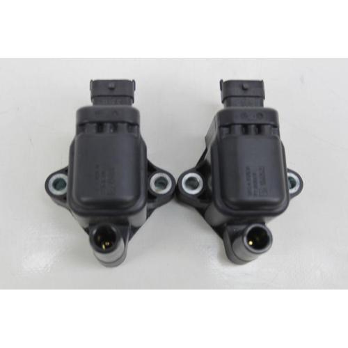 COILS (2X)