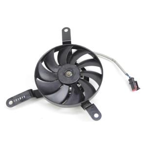 LEFT RADIATOR FAN
