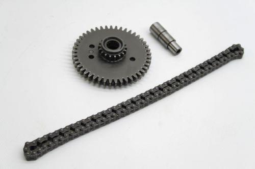 KIT INGRANAGGIO E CATENA DISTRIBUZIONE
