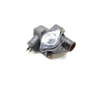 TAPPO VALVOLA TERMOSTATICA RADIATORE