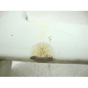 RADIATOR COVER FAIRING