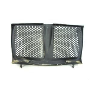 RADIATOR GRILLE