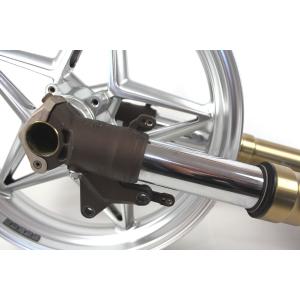 FORK + FRONT RIM