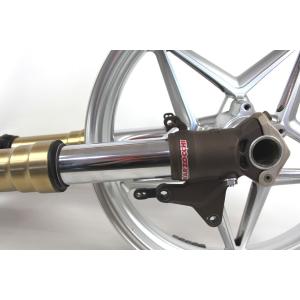 FORK + FRONT RIM