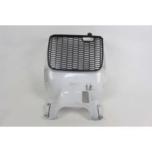 RADIATOR GRILLE FAIRING