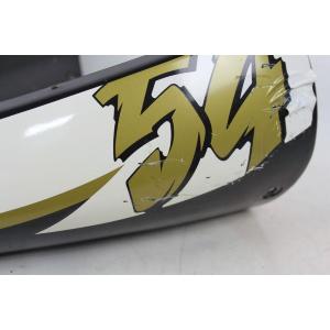 REAR FAIRING TAIL