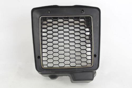 RADIATOR GRILLE