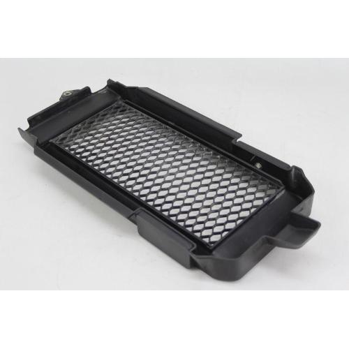 RADIATOR GRILLE