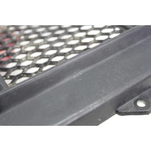 RADIATOR GRILLE