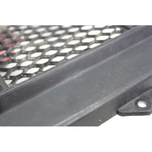 RADIATOR GRILLE