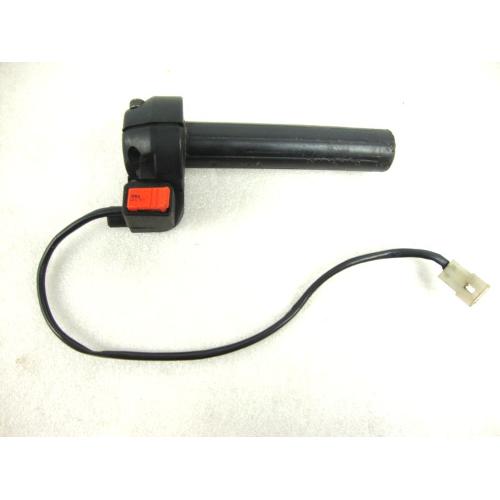GAS ACCELERATOR CONTROL WITH RH SWITCH