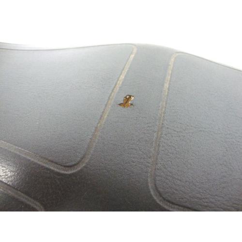 SADDLE