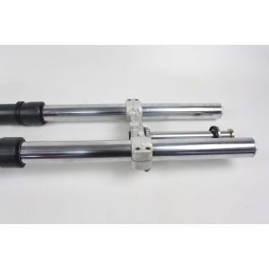 FORK + LOWER PLATE