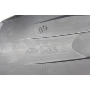 REAR MUDGUARD + CHAIN GUARD