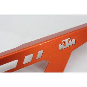REAR MUDGUARD + CHAIN GUARD