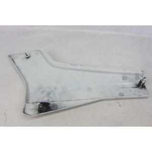 RIGHT SIDE PANEL