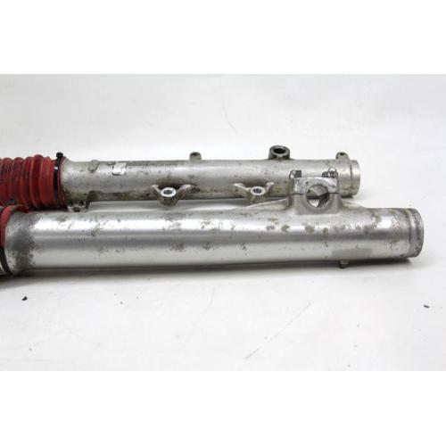 FORCELLA