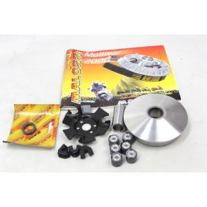 SUZUKI EPICURO 125 150 MULTIVAR VARIATOR MALOSSI 5111324