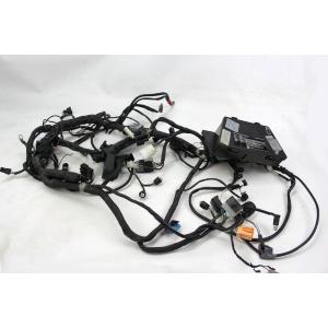 ELECTRICAL SYSTEM WIRING