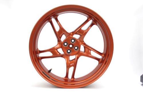 CERCHIO POSTERIORE