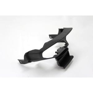REAR LIGHT FRAME