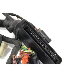 ELECTRICAL SYSTEM WIRING