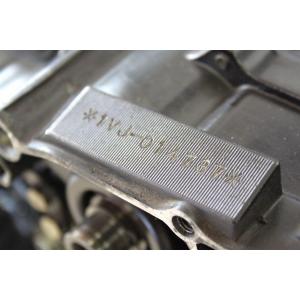MOTORE
