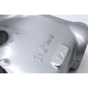  FORCELLONE