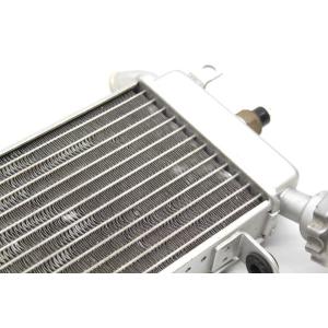 RADIATORE