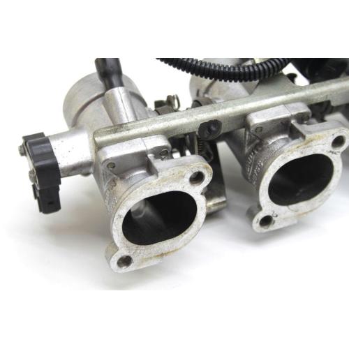 CORPO FARFALLATO