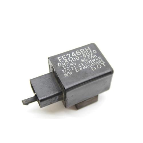 RELE FE246BH